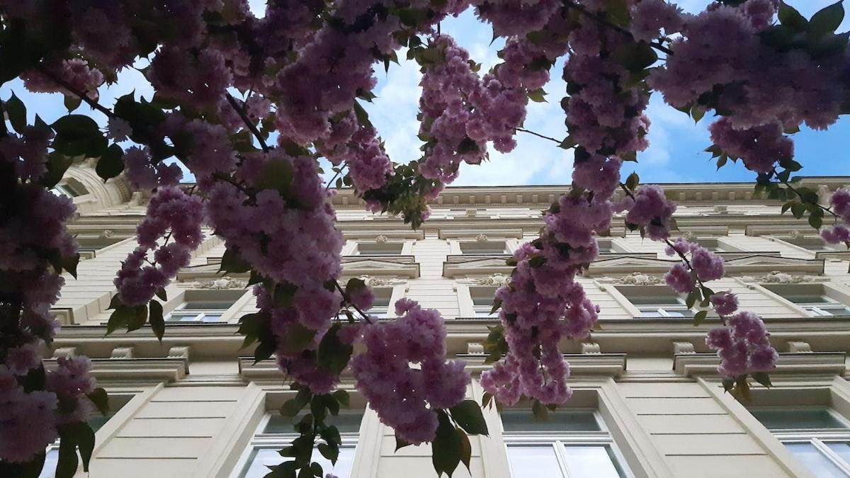 Art Nouveau Treasure Apartment Prague
